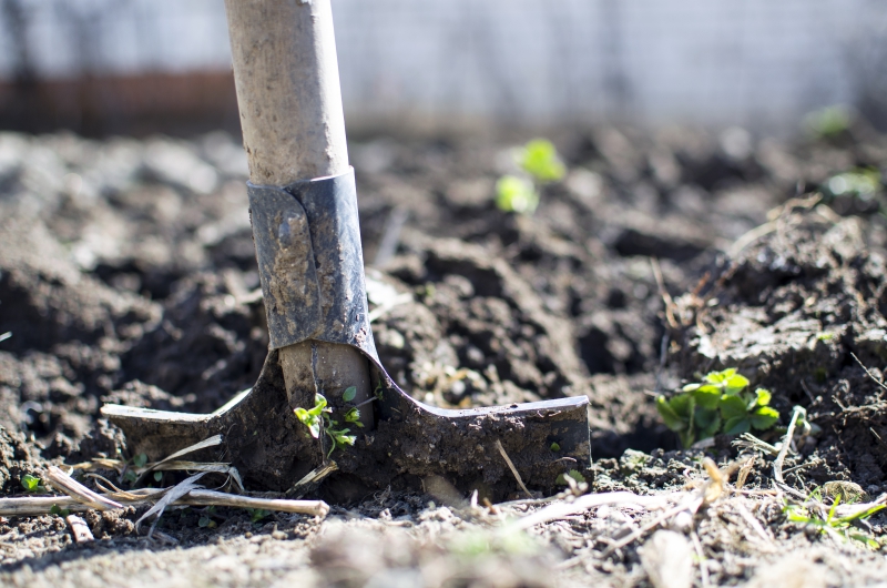 jardinerie-TOULON-min_equipment-2047314